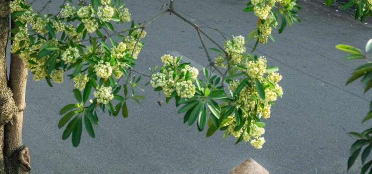  VIETNAM Y CAMBOYA AUTÉNTICOS EN 12 DÍAS Y 11 NOCHES