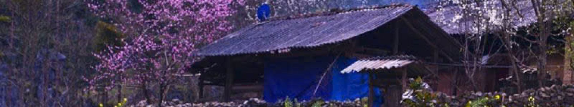 ¿Cuál es la mejor época para viajar a Sapa? El momento dorado para tus viajes