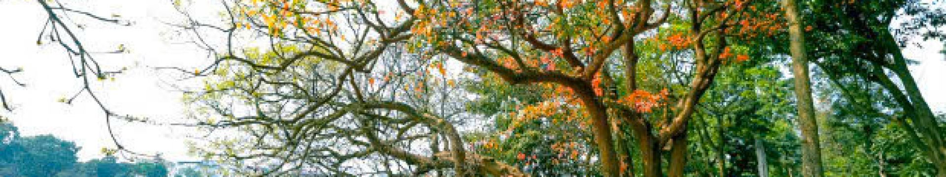 Viajar a Hanói en otoño – La mejor época para descubrir la capital con Asia Encanto Travel