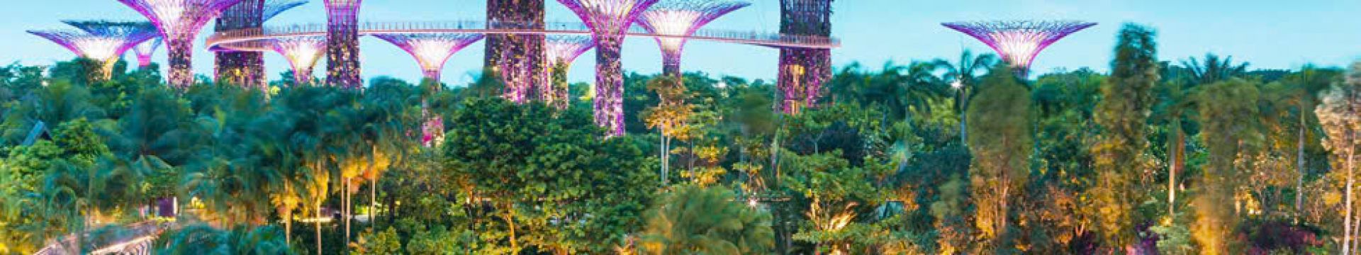 Gardens by the Bay Singapur – Símbolo Mundial del Turismo Verde