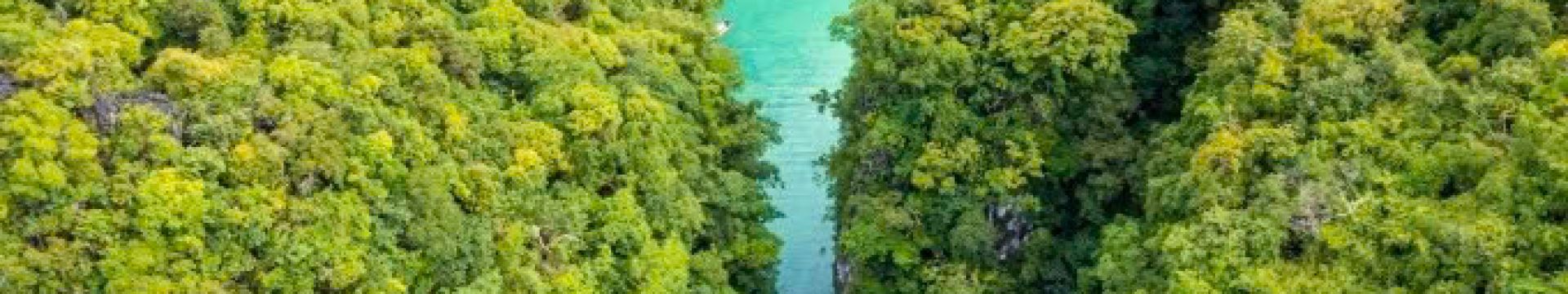 maravilloso viaje por las islas del sur de Tailandia