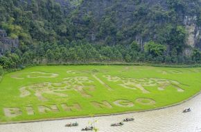 Caballos gigantes en los arrozales de Tam Coc – Lo más destacado del turismo en Ninh Binh 2026 | Asia Encanto Travel